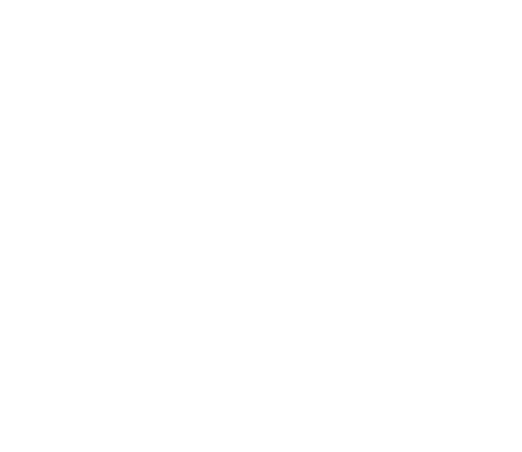 Tjeko